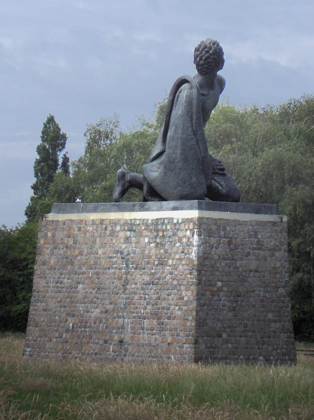 De weerstander — Idel Ianchelevici